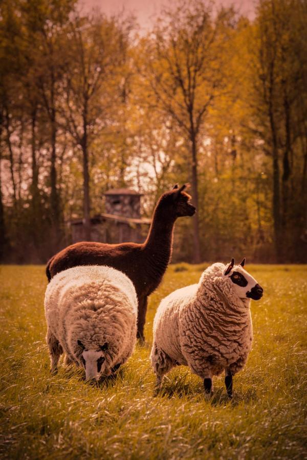 Willa De Betze - Country Life Geetbets Zewnętrze zdjęcie